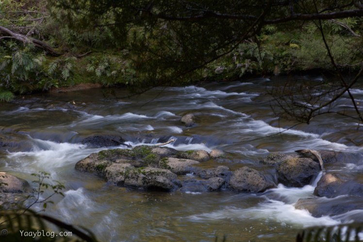fairy pools option 1