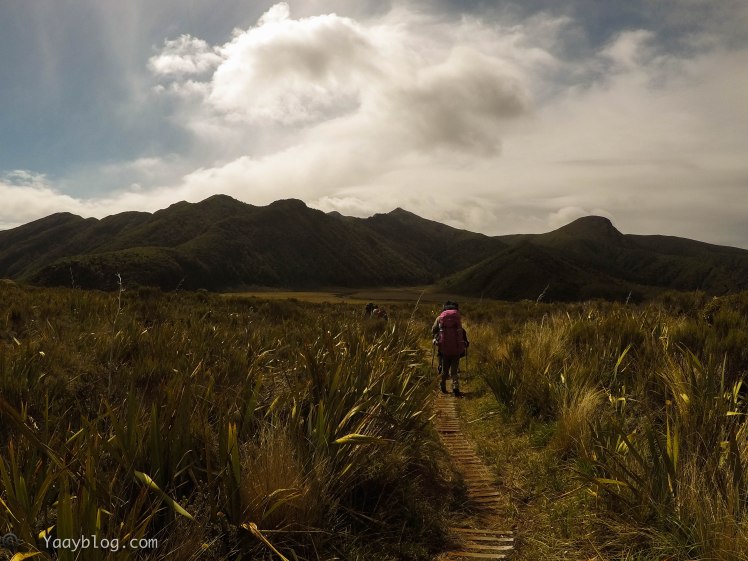 Tramping the Pouakai circuit